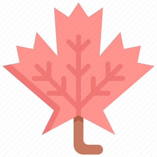 Environment, garden, leaf, maple, nature, plant, tree icon - Download on Iconfinder
