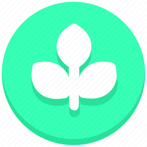 Autumn, leaf, plant, thanksgiving icon - Download on Iconfinder