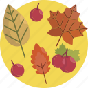 autumn, brown, cherry, fall, fruit, leaf, thanksgiving