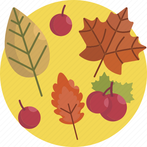 Autumn, brown, cherry, fall, fruit, leaf, thanksgiving icon - Download on Iconfinder