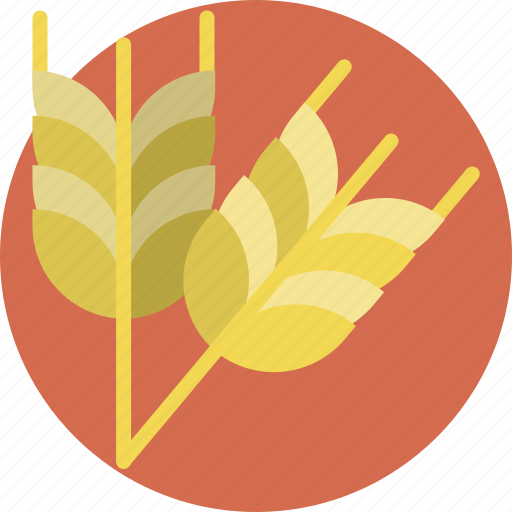 Autumn, fall, flour, thanksgiving, tradition, wheat icon - Download on Iconfinder