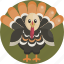animal, autumn, dinner, food, holiday, thanksgiving, turkey 