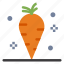 carrot, thanksgiving, vegetable, vitamin 