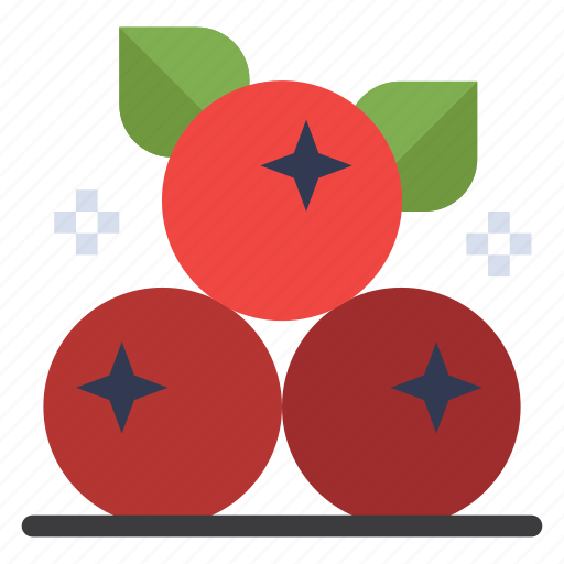 Berry, cranberry, fruit, thanksgiving icon - Download on Iconfinder