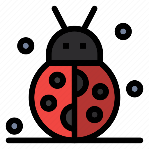 Autumn, beetle, bug, thanksgiving, winter icon - Download on Iconfinder