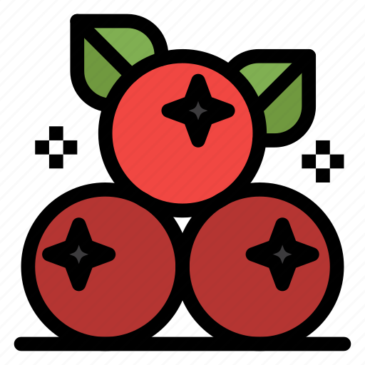 Berry, cranberry, fruit, thanksgiving icon - Download on Iconfinder