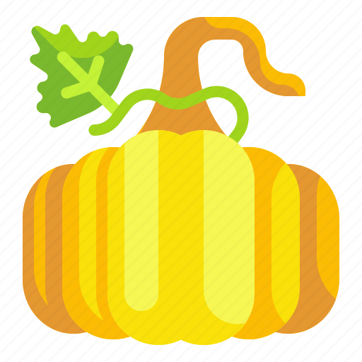 Organic, diet, food, vegetarian, pumpkin, healthy, thanksgiving icon - Download on Iconfinder