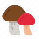 mushroom, fungi, muscaria, nature, food