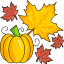 maple leaf, pumpkin, thanksgiving, thanksgiving day, vegetable, autumn 
