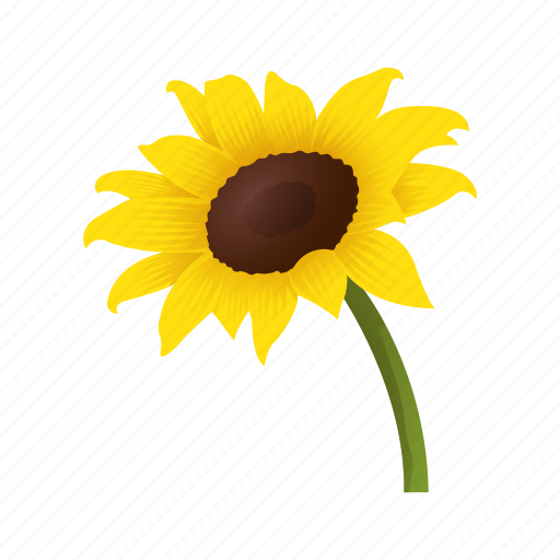 Celebration, flower, fall, sunflower, thanksgiving, holiday, autumn icon - Download on Iconfinder