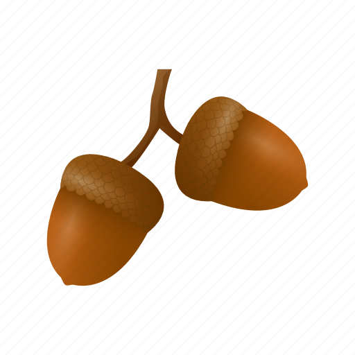 Nut, mapple, celebration, acorn, thanksgiving, holiday, winter icon - Download on Iconfinder