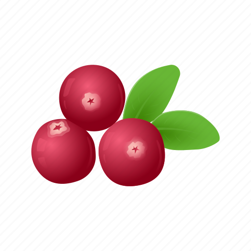 Berries, celebration, cranberries, desssert, fruits, thanksgiving, holiday icon - Download on Iconfinder