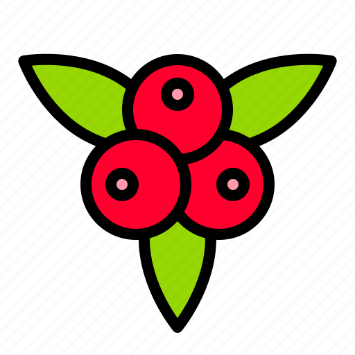 Berry, food, fruit, nature, thanksgiving icon - Download on Iconfinder