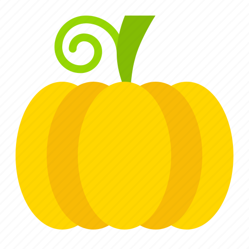 Fall, food, pumpkin, thanksgiving, vegetable, vitamin icon - Download on Iconfinder
