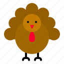animal, bird, fall, thanksgiving, turkey