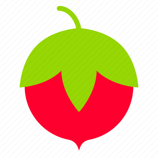 Berry, fall, food, fruit, thanksgiving icon - Download on Iconfinder