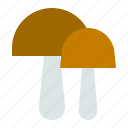 fall, fungus, mushroom, thanksgiving, toadstool