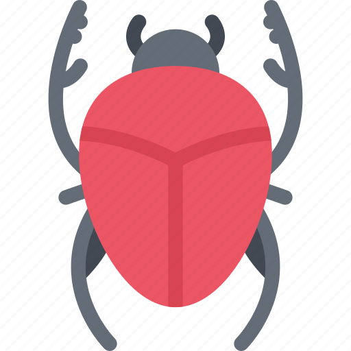 Scarab, beetle, insect, animal icon - Download on Iconfinder