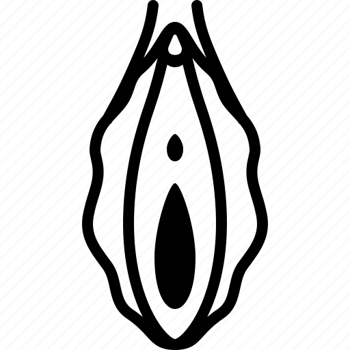 Female, genital, genitalia, uterus, vagina, vulva icon - Download on Iconfinder