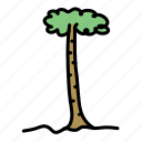 tree, green, isolated, vector, season, nature