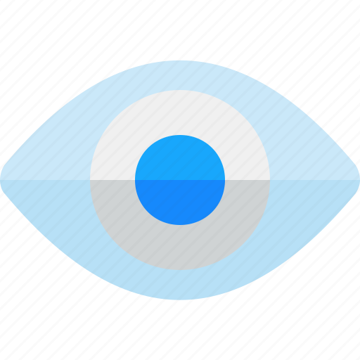 Eye, retina, seo, visible, visual icon - Download on Iconfinder