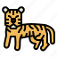 tiger, mammal, wildlife, animal, zoology 