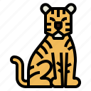 tiger, mammal, wildlife, animal, zoology