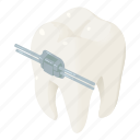 arranged, arrangement, banner, cartoon, dental, isometric, tooth 