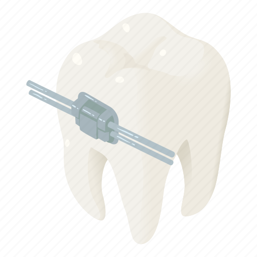Arranged, arrangement, banner, cartoon, dental, isometric, tooth icon - Download on Iconfinder