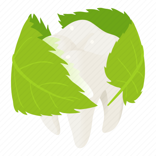 Cartoon, dental, dentist, herbal, isometric, protect, tooth icon - Download on Iconfinder