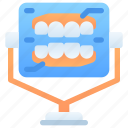 mirror, healthy teeth, smile, oral, mouth, dental, dentist, tooth, teeth