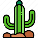 cactus, plant, desert, dry, nature, travel