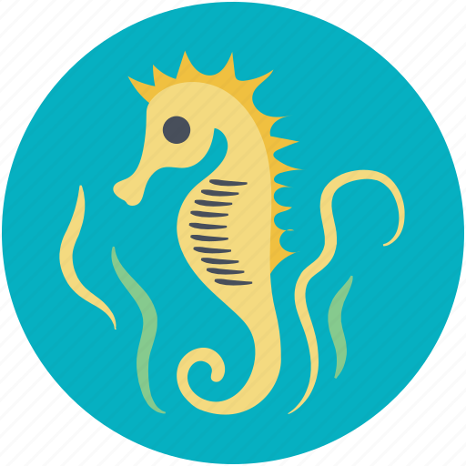 Animal, fish, sea animal, seahorse, wild animal icon - Download on Iconfinder