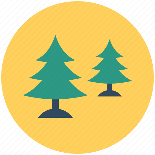 Cypress trees, fir trees, nature, pine trees, trees icon - Download on Iconfinder