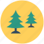 cypress trees, fir trees, nature, pine trees, trees 