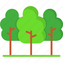 forest, nature, park, tree, trees