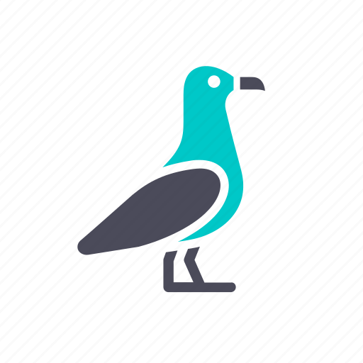 Albatross, animal. fauna, bird, gull, seagull, water icon - Download on Iconfinder