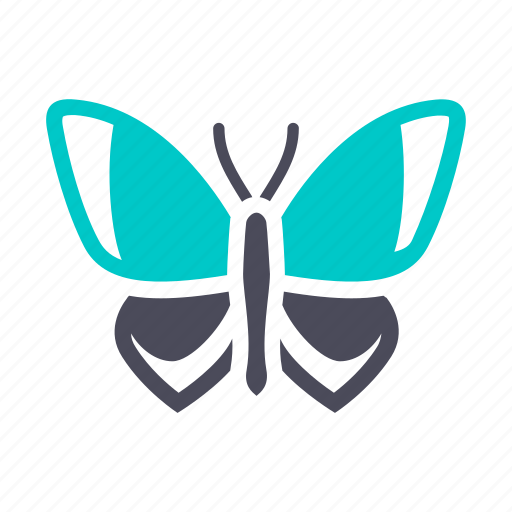Animal, butterfly, fauna, fly, insect, wildlife, wings icon - Download on Iconfinder