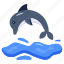 dolphin, aquatic animal, aquatic mammal, sea animal, fish 
