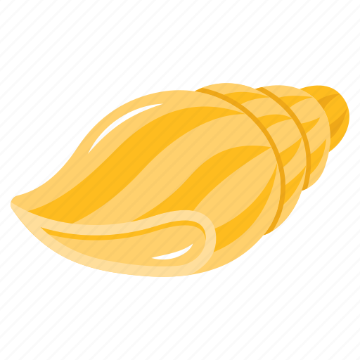 Sea snail, conch, seashell, shell, fish shell icon - Download on Iconfinder