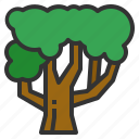 tree, ecology, environment, nature, fruit, wood
