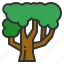 tree, ecology, environment, nature, fruit, wood 