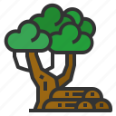 tree, ecology, environment, nature, fruit, wood