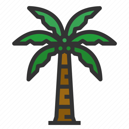 Coconut, tree, tropical, palm, summer, nature, beach icon - Download on Iconfinder