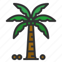 coconut, tree, tropical, palm, summer, nature, beach