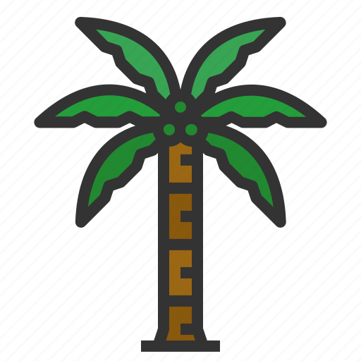Coconut, tree, tropical, palm, summer, nature, beach icon - Download on Iconfinder