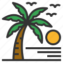 coconut, tree, tropical, palm, summer, beach, sunset