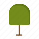 tree, nature, forest, leaf, vector