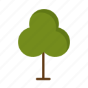 tree, nature, forest, leaf, vector