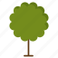 tree, nature, forest, leaf, vector 
